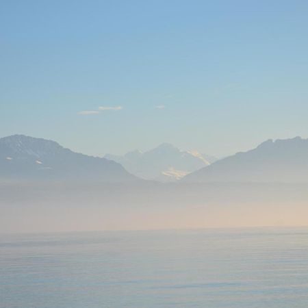 BnB chez Fanfan Morges Extérieur photo