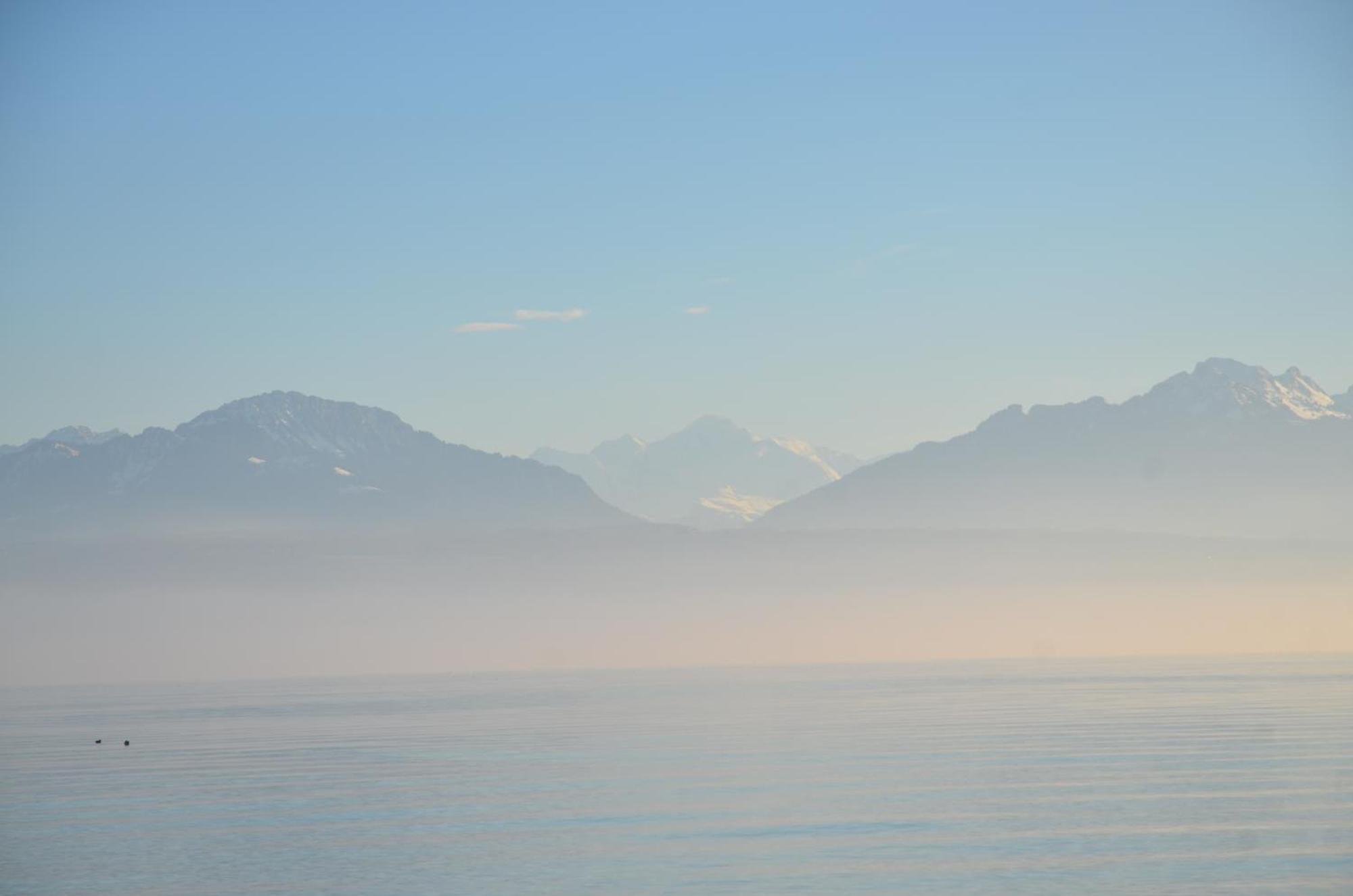 BnB chez Fanfan Morges Extérieur photo